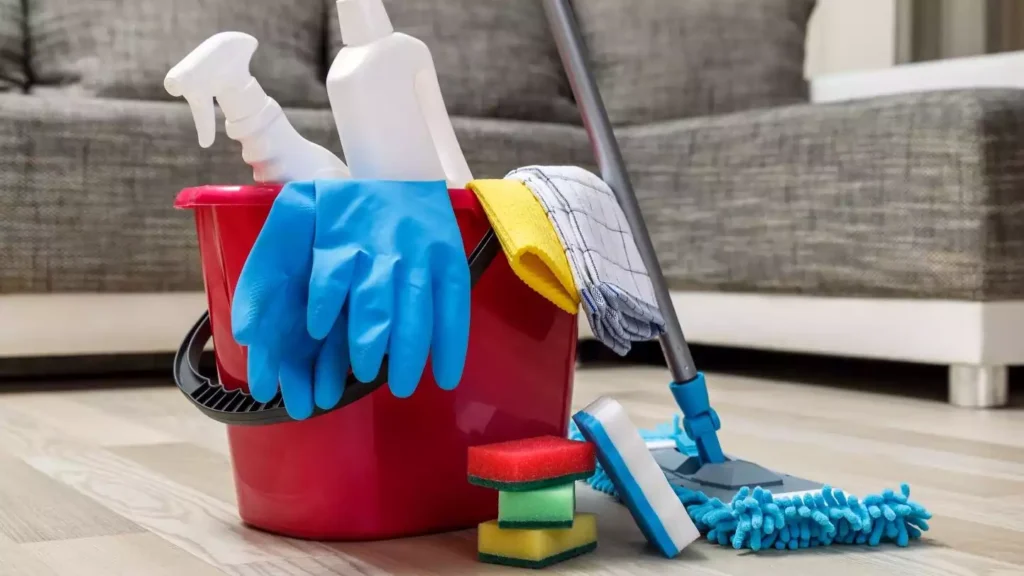 Condo Cleaning Services | West Maui House Cleaning Company